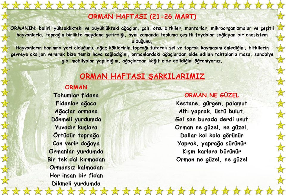 vererek bize temiz hava sağladığını, ormanlardaki ağaçlardan elde edilen tahtalarla masa, sandalye gibi mobilyalar yapıldığını, ağaçlardan kâğıt elde edildiğini öğreniyoruz.