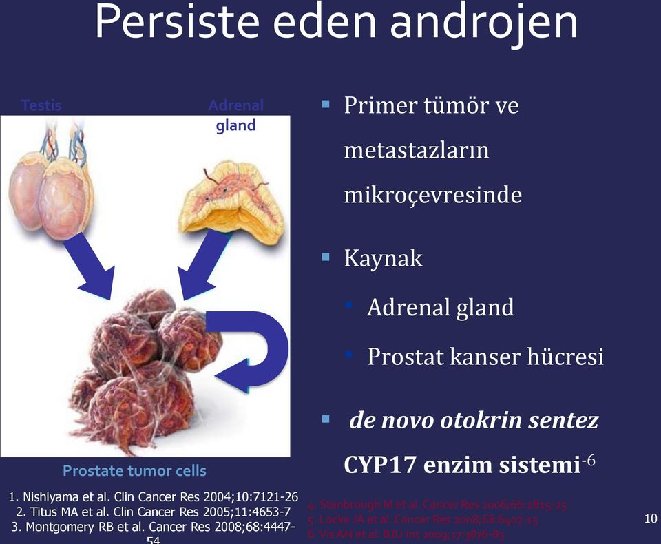 Titus MA et al. Clin Cancer Res 2005;11:4653-7 3. Montgomery RB et al. Cancer Res 2008;68:4447- CYP17 enzim sistemi -6 4.