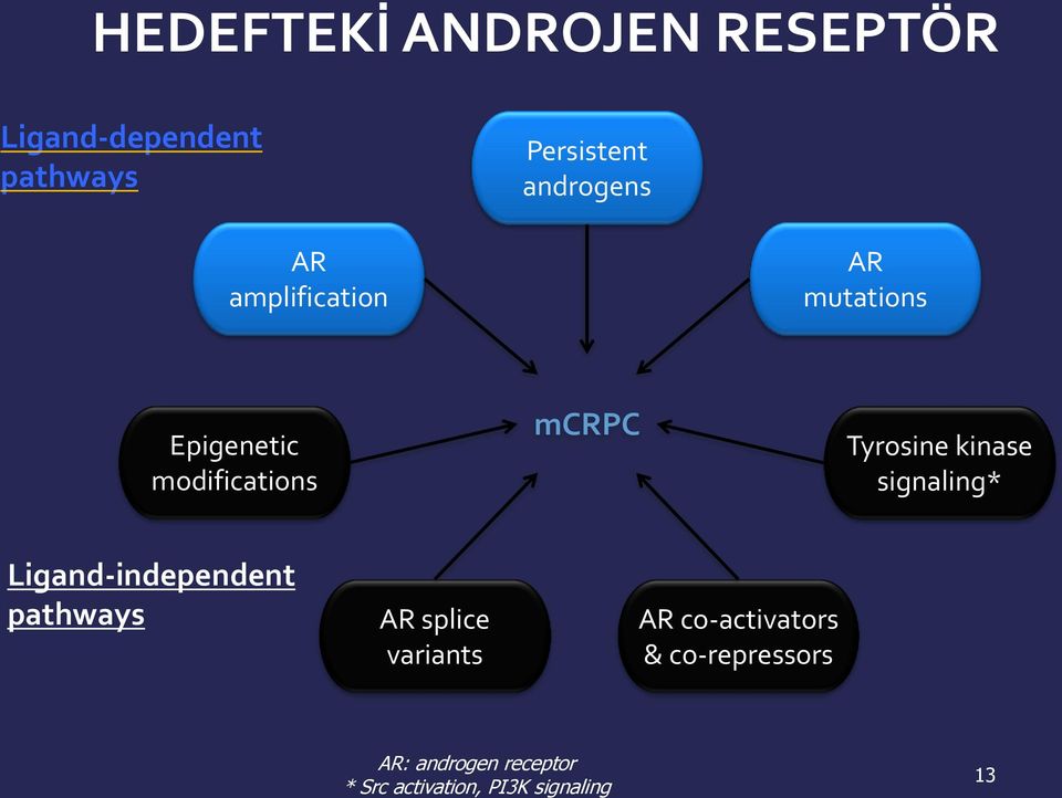 kinase signaling* Ligand-independent pathways AR splice variants AR