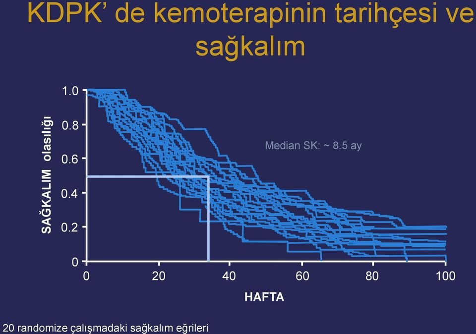 2 0 0 20 40 60 80 100 HAFTA 20 randomize çalışmadaki