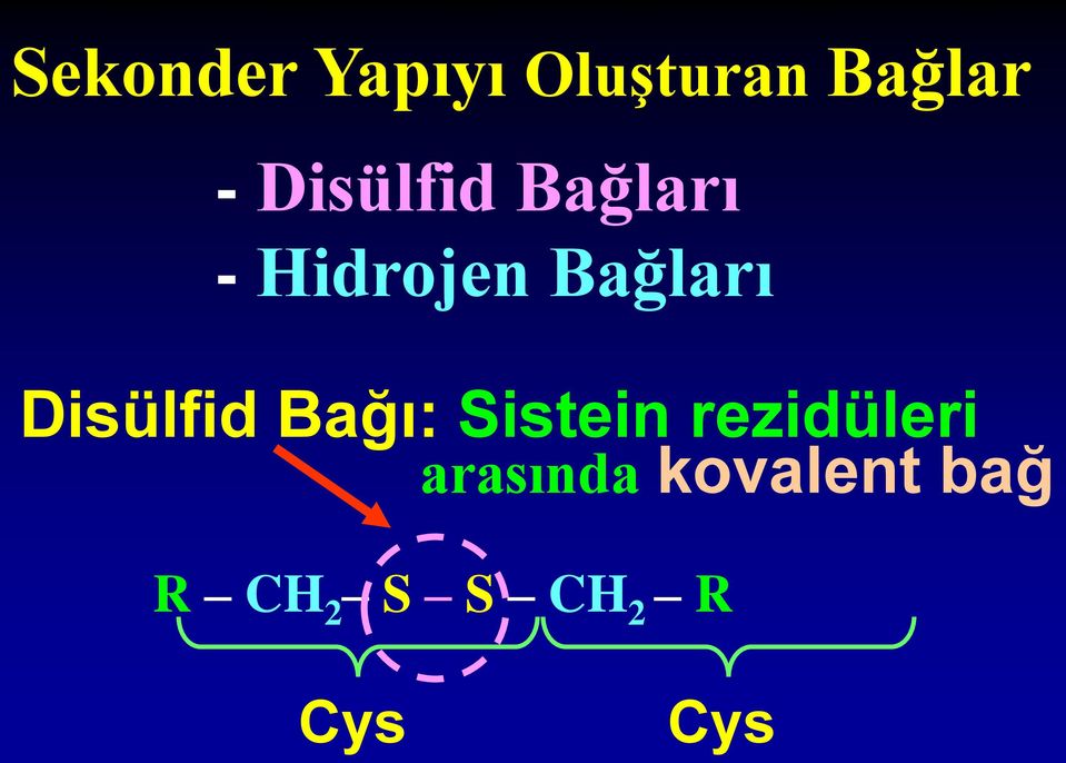 Disülfid Bağı: Sistein rezidüleri