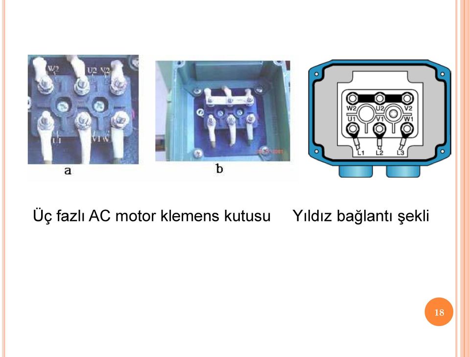 kutusu Yıldız