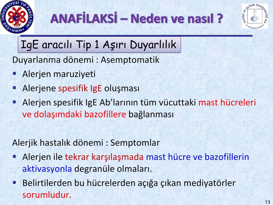 oluşması Alerjen spesifik IgE Ab larının tüm vücuttaki mast hücreleri ve dolaşımdaki bazofillere bağlanması