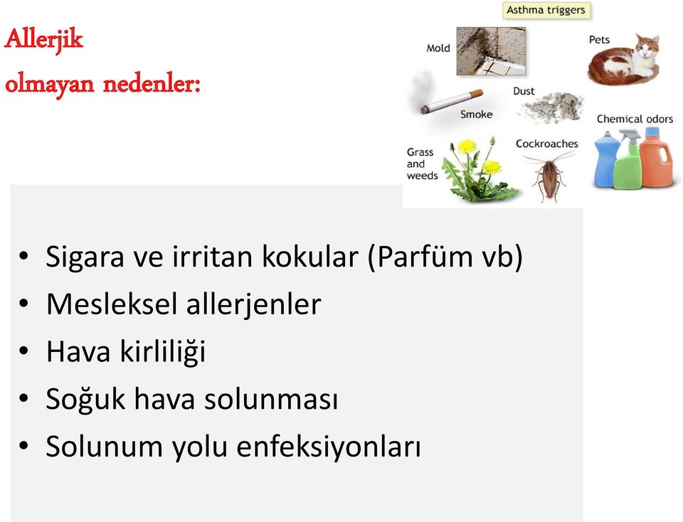 allerjenler Hava kirliliği Soğuk hava