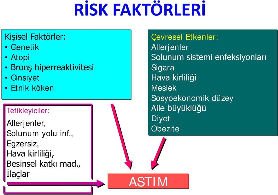 , Egzersiz, Hava kirliliği, Besinsel katkı mad.