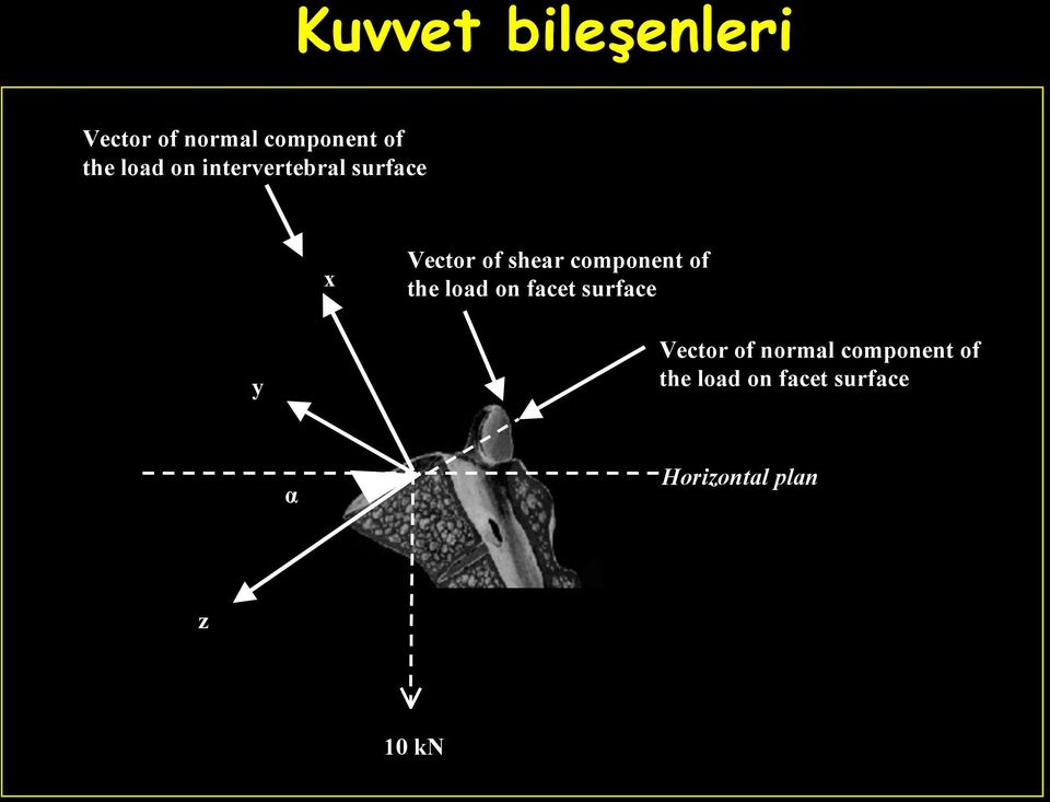 component of the load on facet surface y Vector of