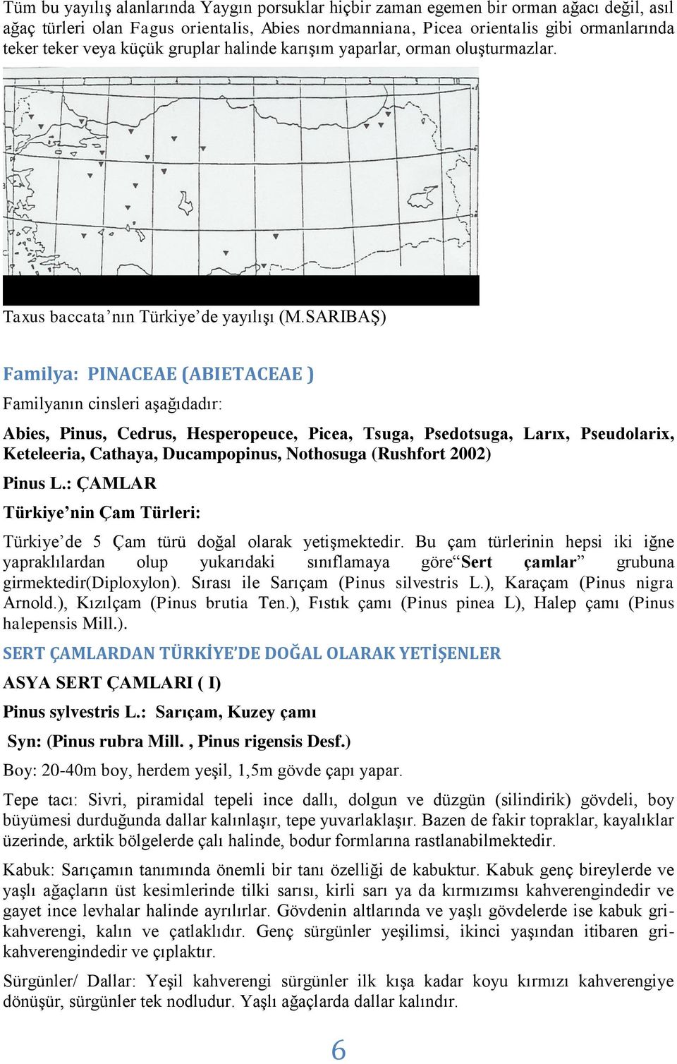 SARIBAŞ) Familya: PINACEAE (ABIETACEAE ) Familyanın cinsleri aşağıdadır: Abies, Pinus, Cedrus, Hesperopeuce, Picea, Tsuga, Psedotsuga, Larıx, Pseudolarix, Keteleeria, Cathaya, Ducampopinus, Nothosuga