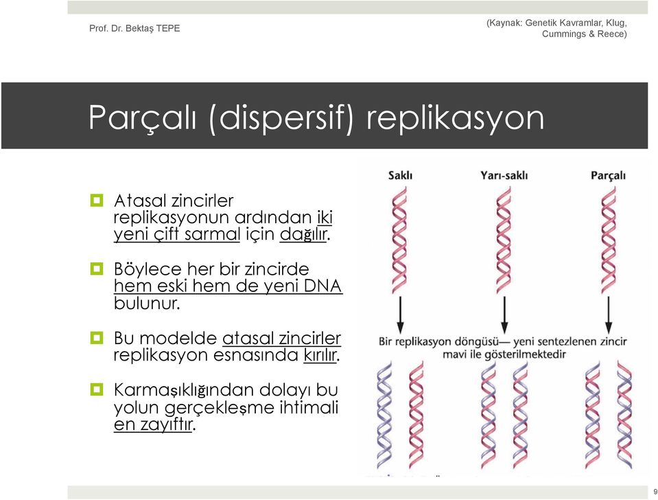 Böylece her bir zincirde hem eski hem de yeni DNA bulunur.