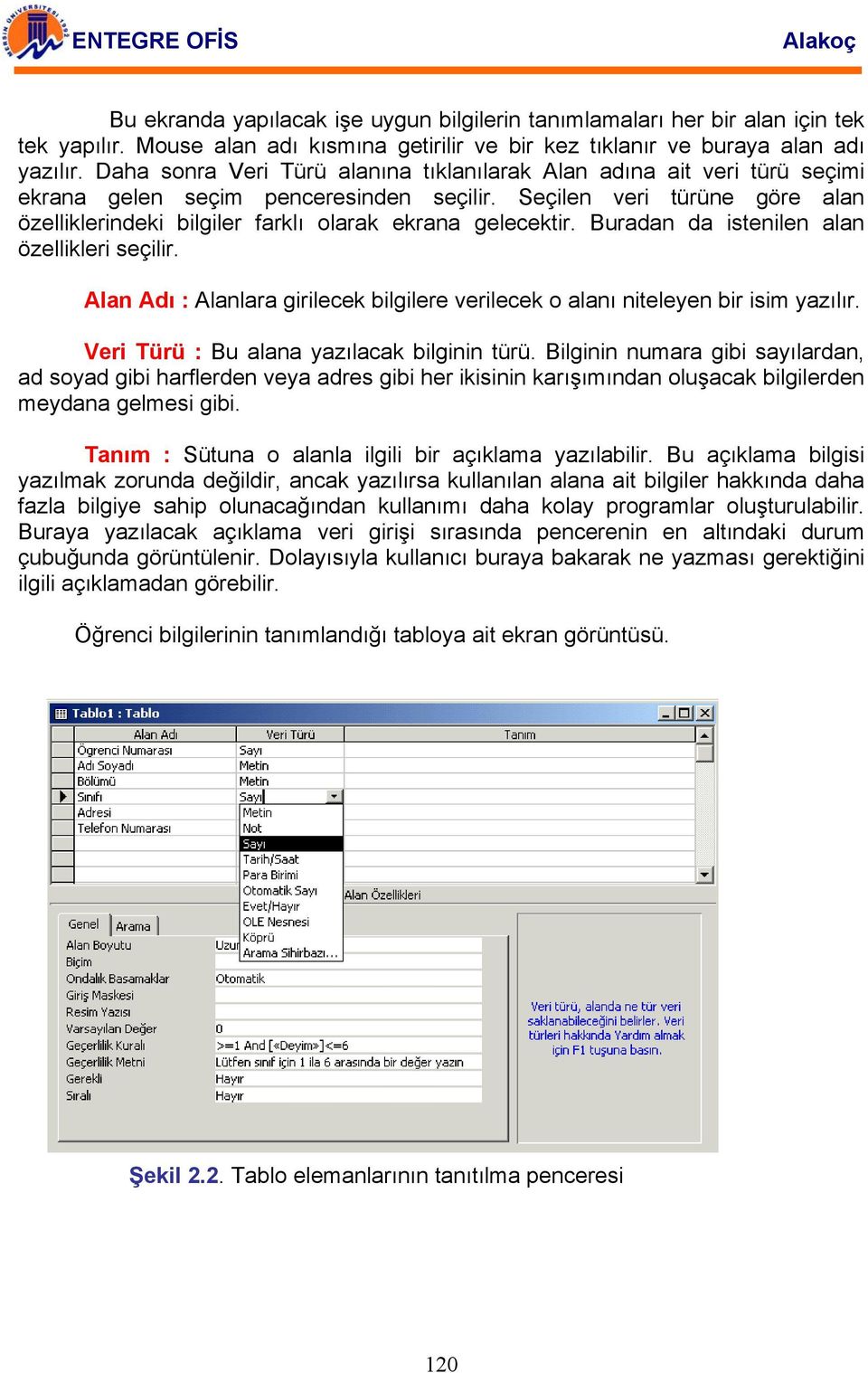 Seçilen veri türüne göre alan özelliklerindeki bilgiler farklı olarak ekrana gelecektir. Buradan da istenilen alan özellikleri seçilir.