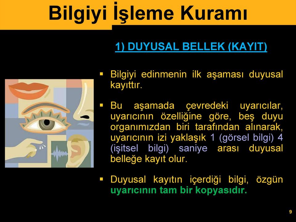 tarafından alınarak, uyarıcının izi yaklaşık 1 (görsel bilgi) 4 (işitsel bilgi) saniye