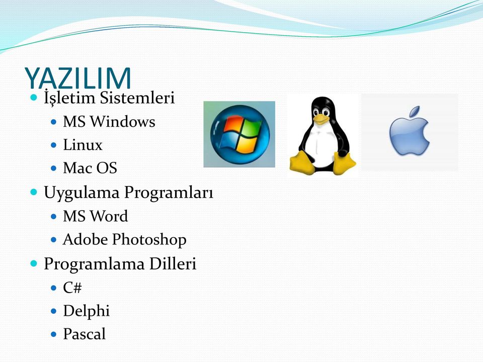 Programları MS Word Adobe