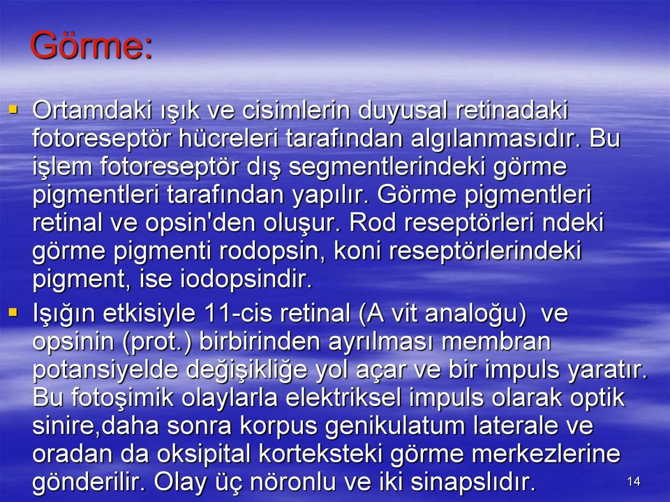 Rod reseptörleri ndeki görme pigmenti rodopsin, koni reseptörlerindeki pigment, ise iodopsindir. Işığın etkisiyle 11-cis retinal (A vit analoğu) ve opsinin (prot.