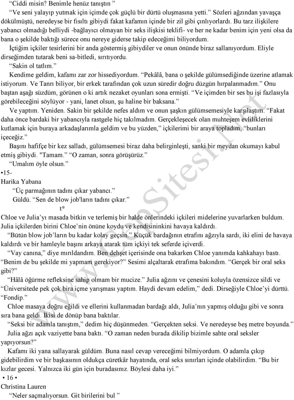 Bu tarz ilişkilere yabancı olmadığı belliydi -bağlayıcı olmayan bir seks ilişkisi teklifi- ve her ne kadar benim için yeni olsa da bana o şekilde baktığı sürece onu nereye giderse takip edeceğimi