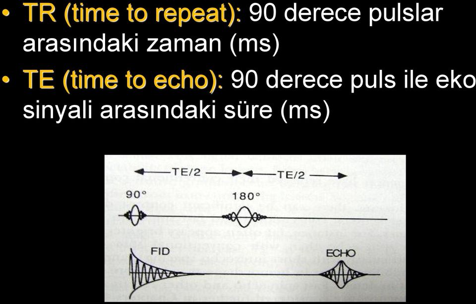 (time to echo): 90 derece puls