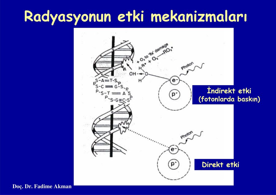 İndirekt etki