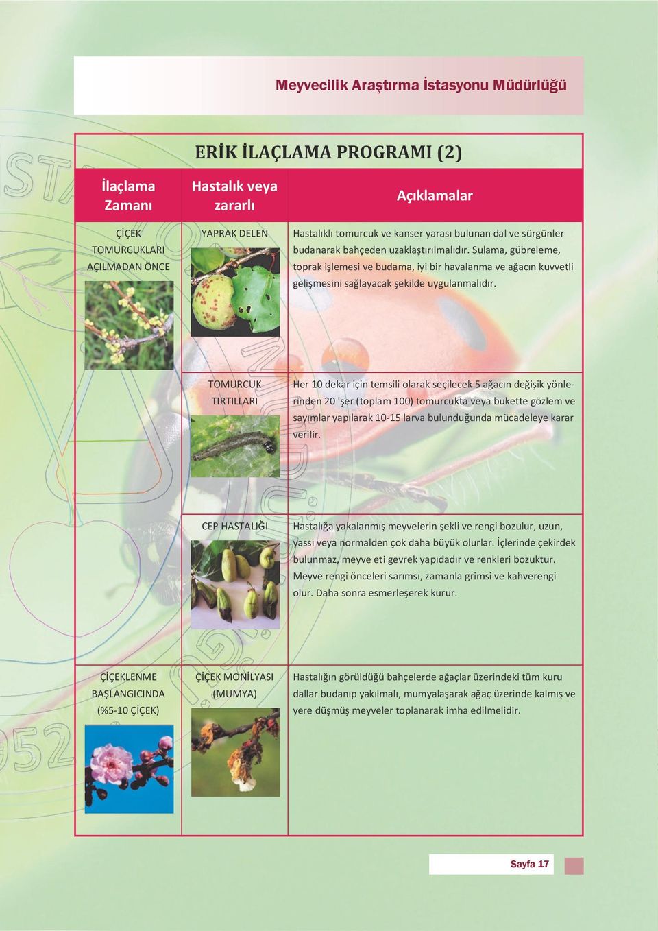 Meyve Ağaçlarında İlaçlama Programları - PDF Ücretsiz indirin