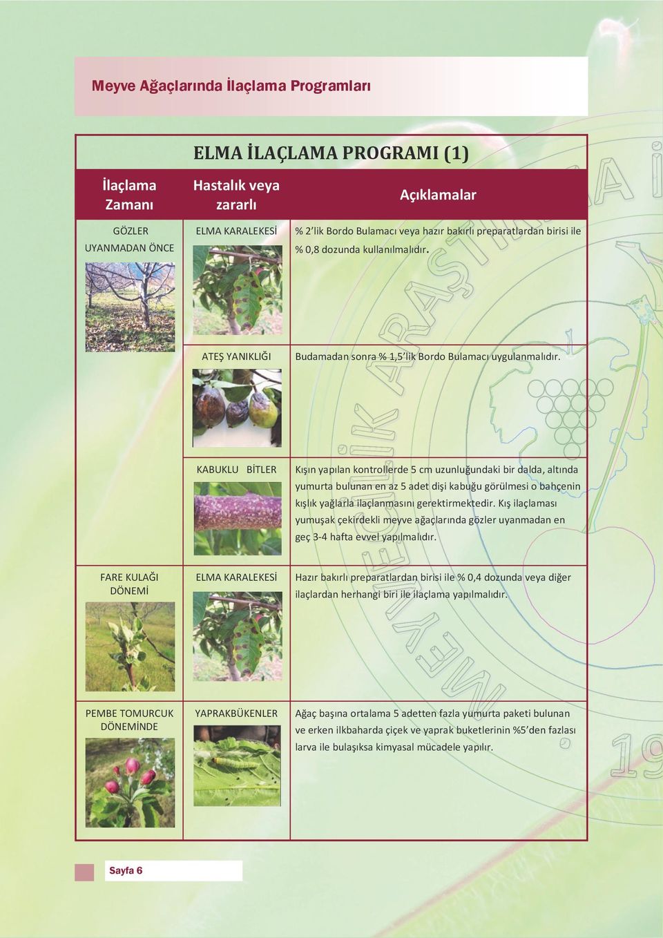 Meyve Ağaçlarında İlaçlama Programları - PDF Ücretsiz indirin