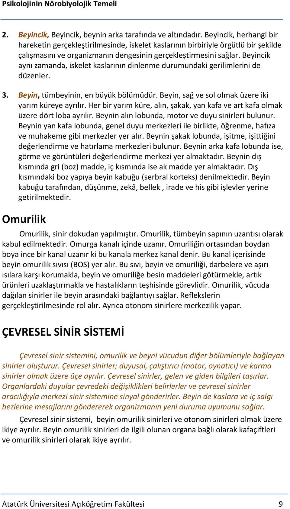 Beyincik aynı zamanda, iskelet kaslarının dinlenme durumundaki gerilimlerini de düzenler. 3. Beyin, tümbeyinin, en büyük bölümüdür. Beyin, sağ ve sol olmak üzere iki yarım küreye ayrılır.