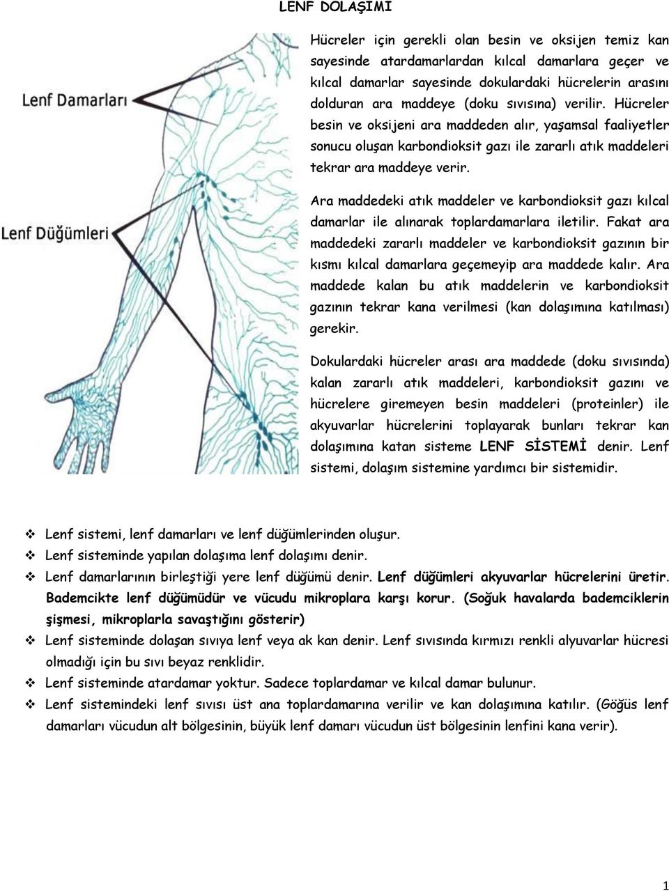 Ara maddedeki atık maddeler ve karbondioksit gazı kılcal damarlar ile alınarak toplardamarlara iletilir.