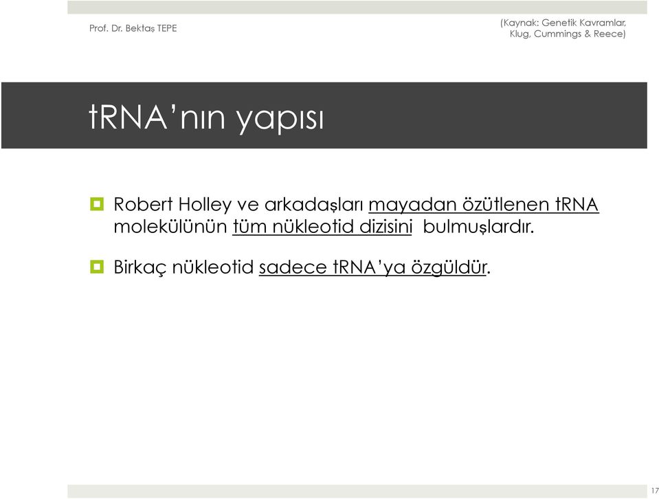 molekülünün tüm nükleotid dizisini