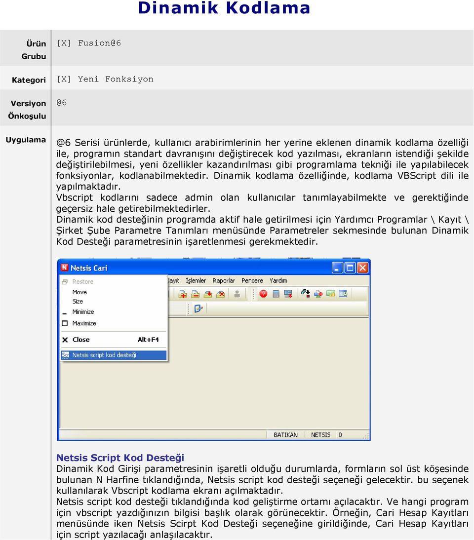 kodlanabilmektedir. Dinamik kodlama özelliğinde, kodlama VBScript dili ile yapılmaktadır.