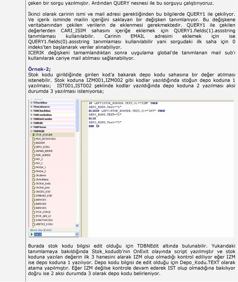 QUERY1 ile çekilen değerlerden CARI_ISIM sahasını içeriğe eklemek için QUERY1.fields(1).assstring tanımlaması kullanılabilir. Carinin EMAIL adresini eklemek için ise QUERY1.fields(0).