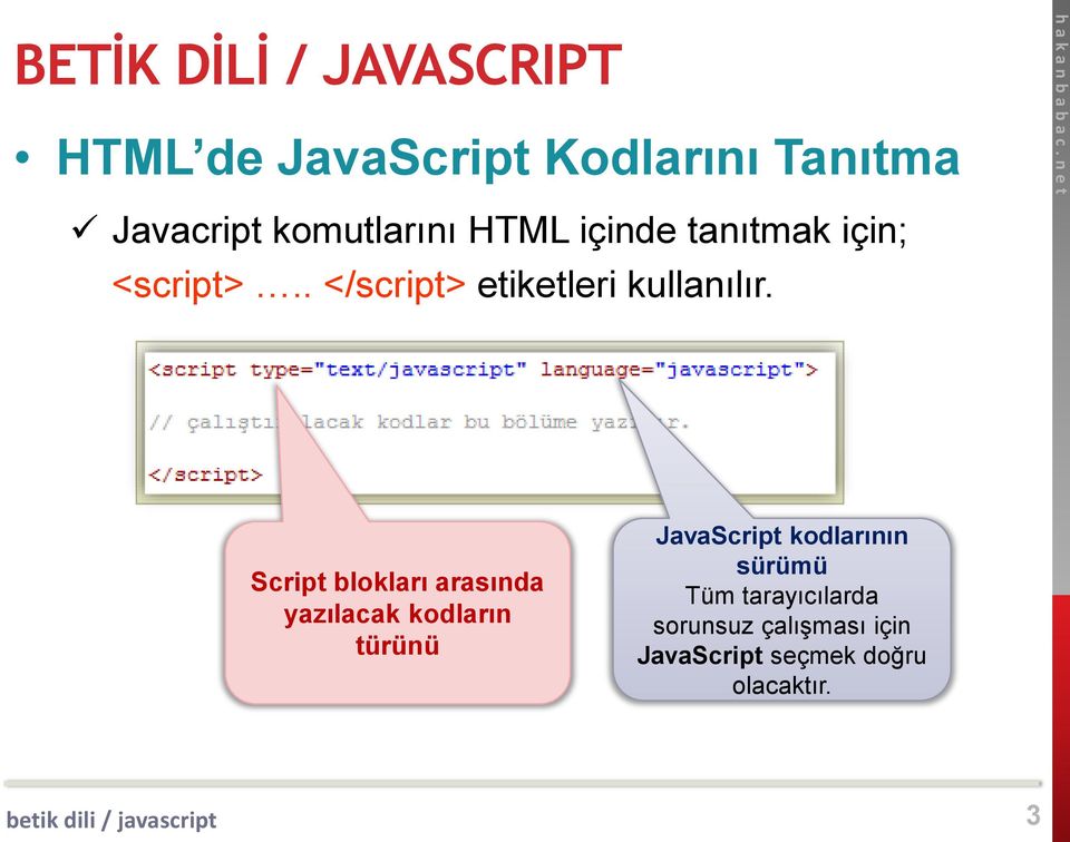 Script blokları arasında yazılacak kodların türünü JavaScript