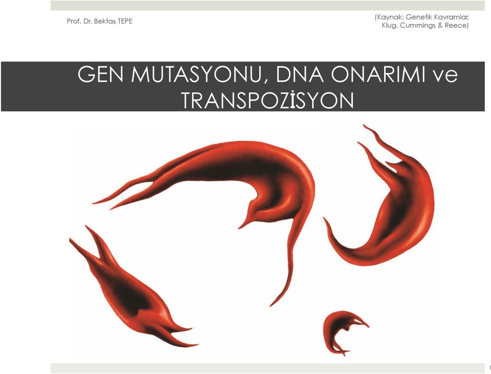 MUTASYONU, DNA