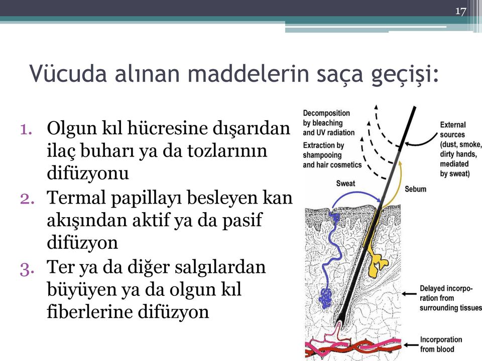 difüzyonu 2.