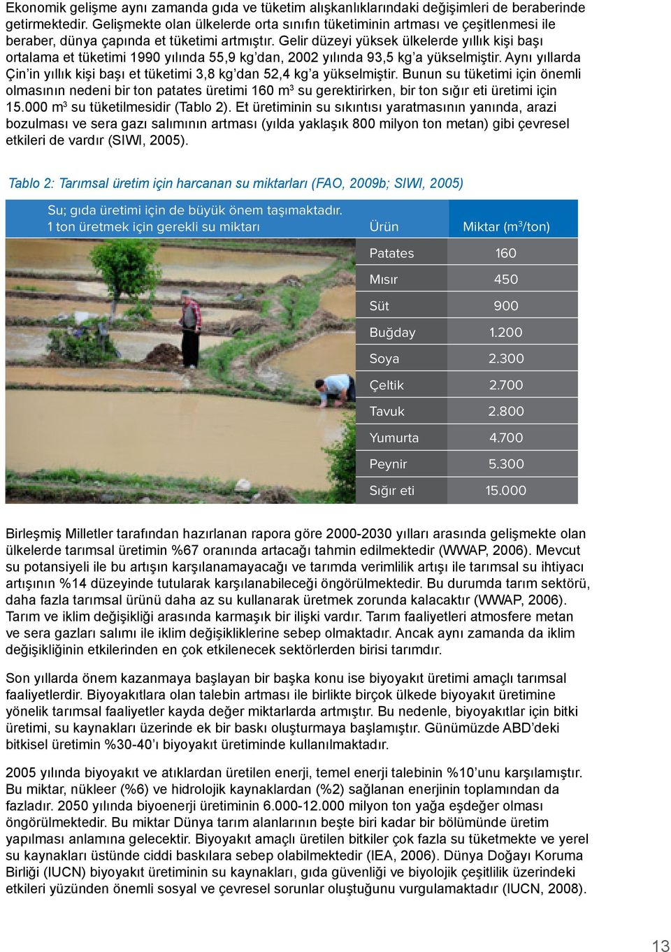 Gelir düzeyi yüksek ülkelerde yıllık kişi başı ortalama et tüketimi 1990 yılında 55,9 kg dan, 2002 yılında 93,5 kg a yükselmiştir.