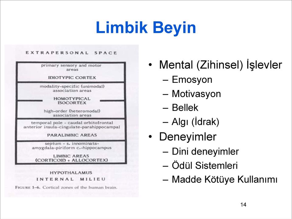 Algı (İdrak) Deneyimler Dini