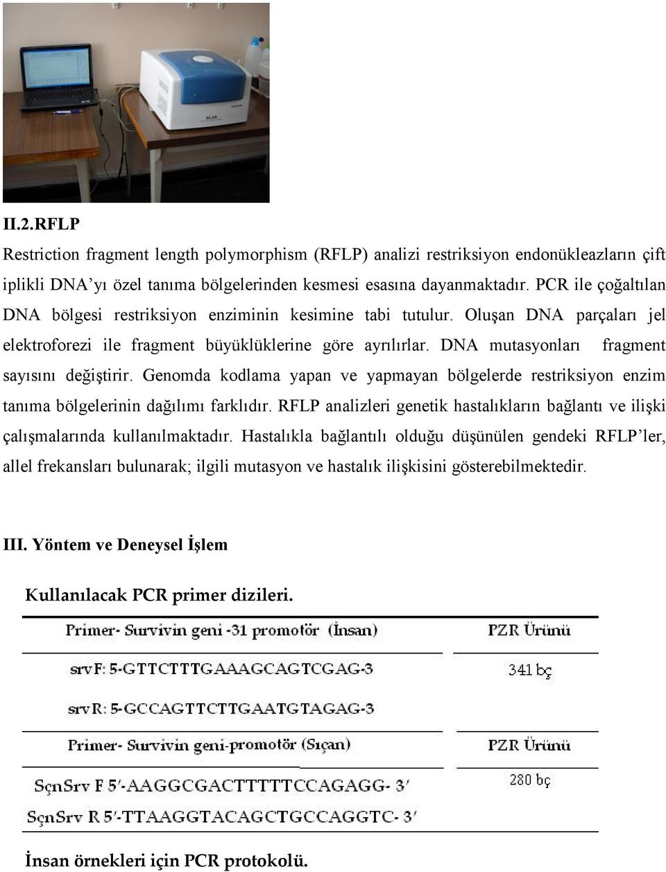 DNA mutasyonları fragment sayısını değiştirir. Genomda kodlama yapan ve yapmayan bölgelerde restriksiyon enzim tanıma bölgelerinin dağılımı farklıdır.