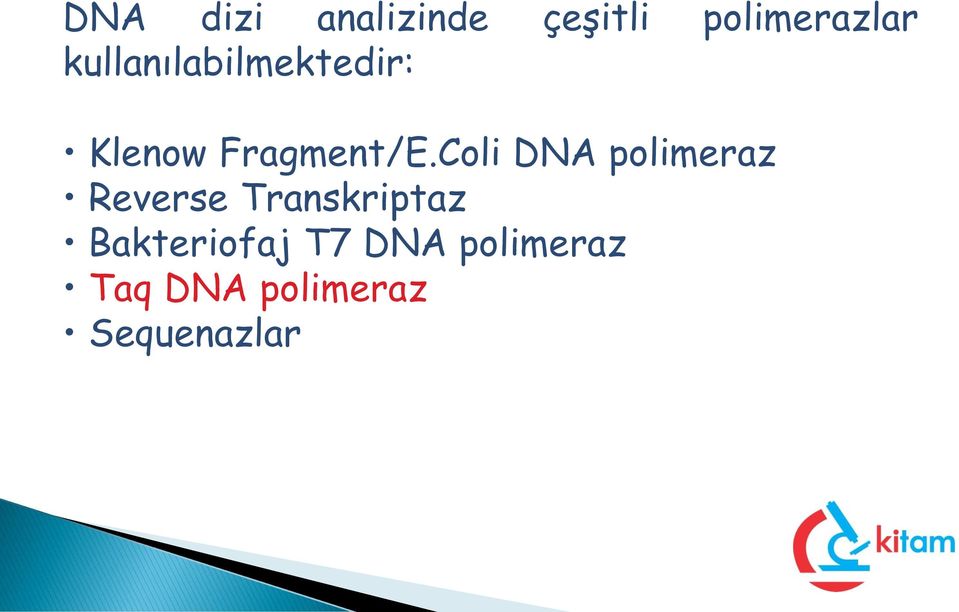 Coli DNA polimeraz Reverse Transkriptaz
