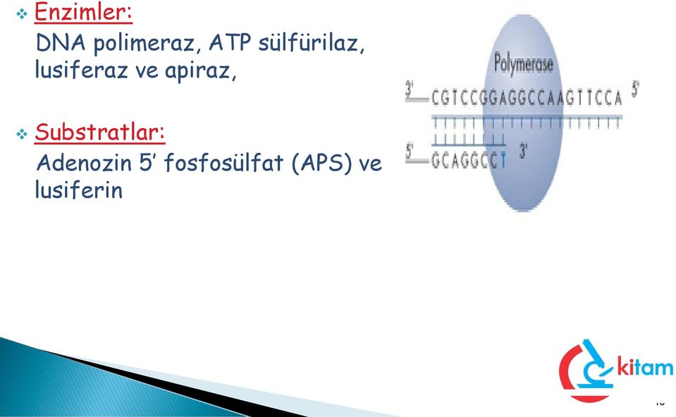 apiraz, Substratlar: Adenozin