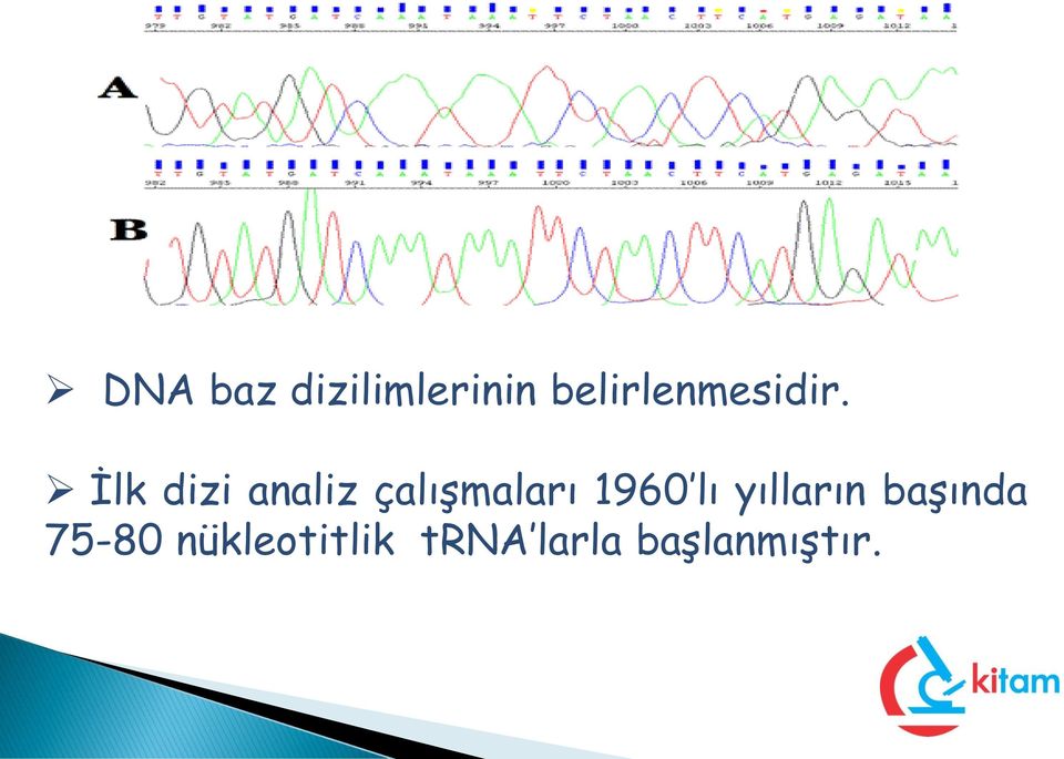 İlk dizi analiz çalışmaları 1960