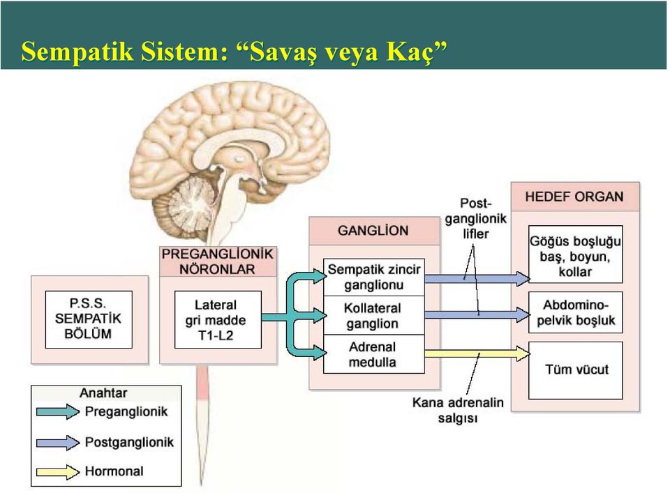 Savaş