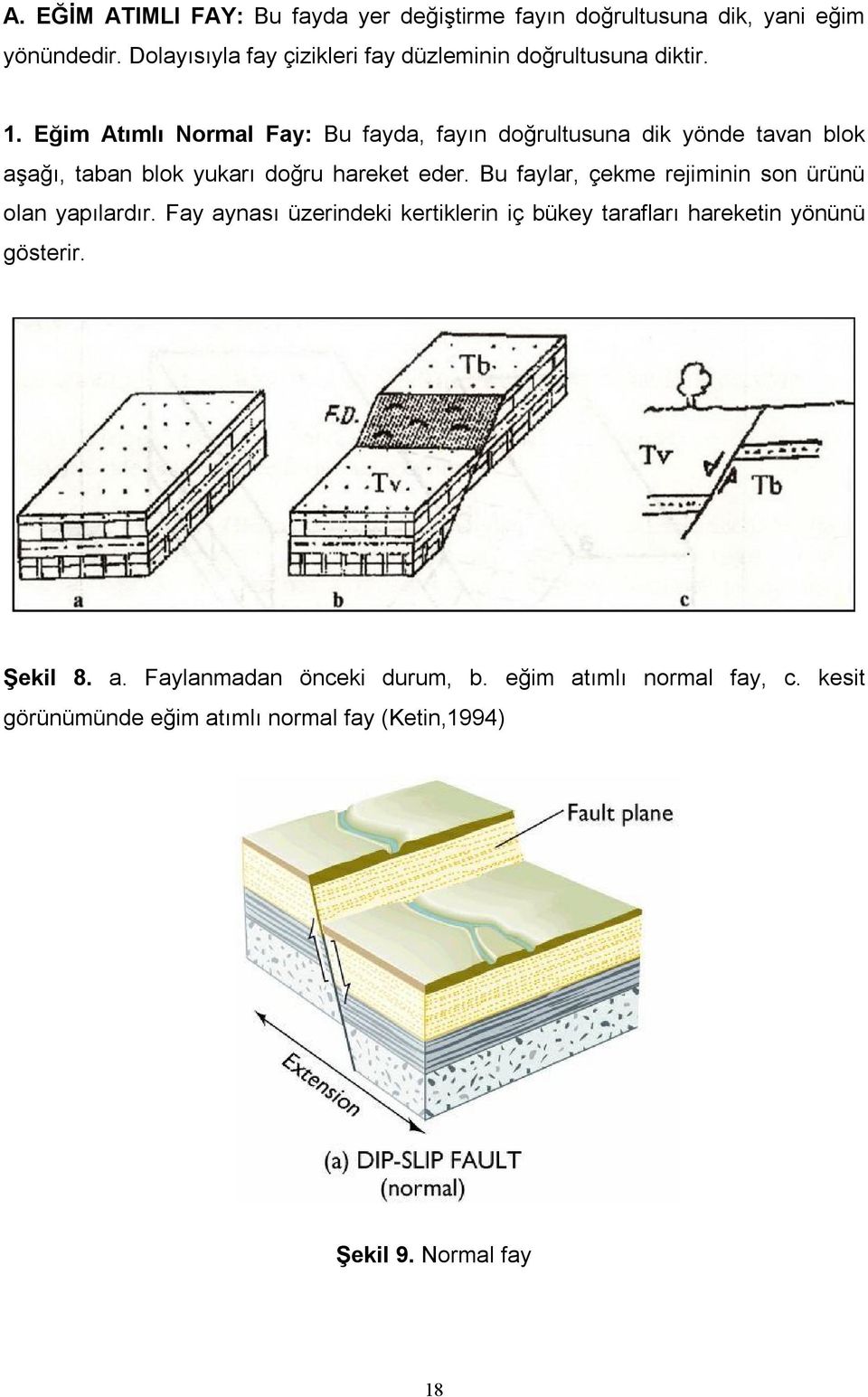 Eğim Atımlı Normal Fay: Bu fayda, fayın doğrultusuna dik yönde tavan blok aşağı, taban blok yukarı doğru hareket eder.