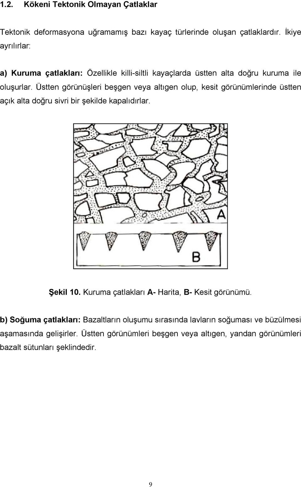 Üstten görünüşleri beşgen veya altıgen olup, kesit görünümlerinde üstten açık alta doğru sivri bir şekilde kapalıdırlar. Şekil 10.