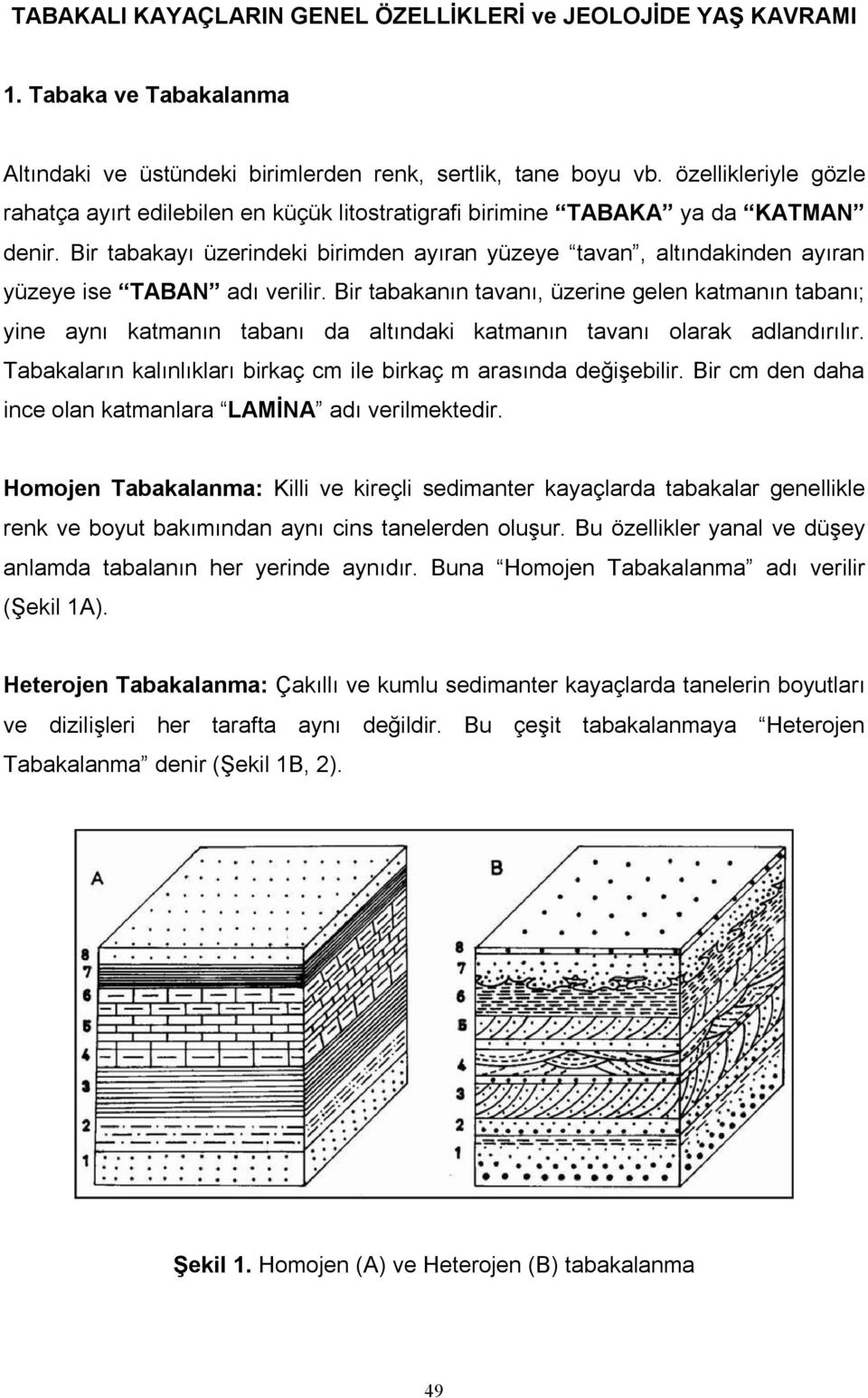 Bir tabakayı üzerindeki birimden ayıran yüzeye tavan, altındakinden ayıran yüzeye ise TABAN adı verilir.