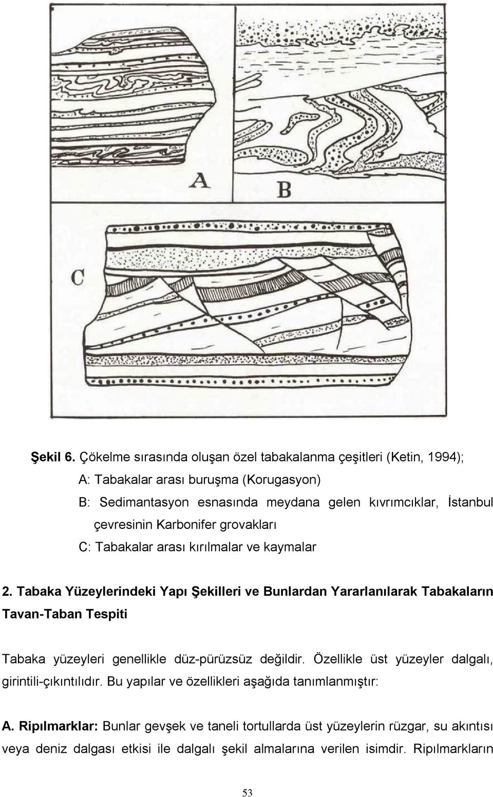 çevresinin Karbonifer grovakları C: Tabakalar arası kırılmalar ve kaymalar 2.