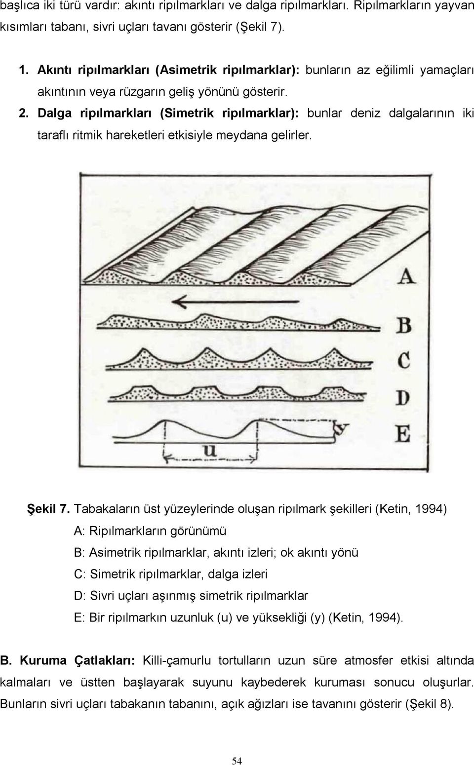 Dalga ripılmarkları (Simetrik ripılmarklar): bunlar deniz dalgalarının iki taraflı ritmik hareketleri etkisiyle meydana gelirler. Şekil 7.