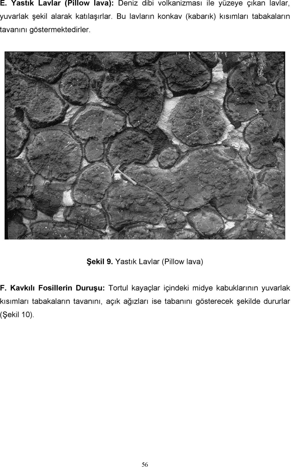 Yastık Lavlar (Pillow lava) F.