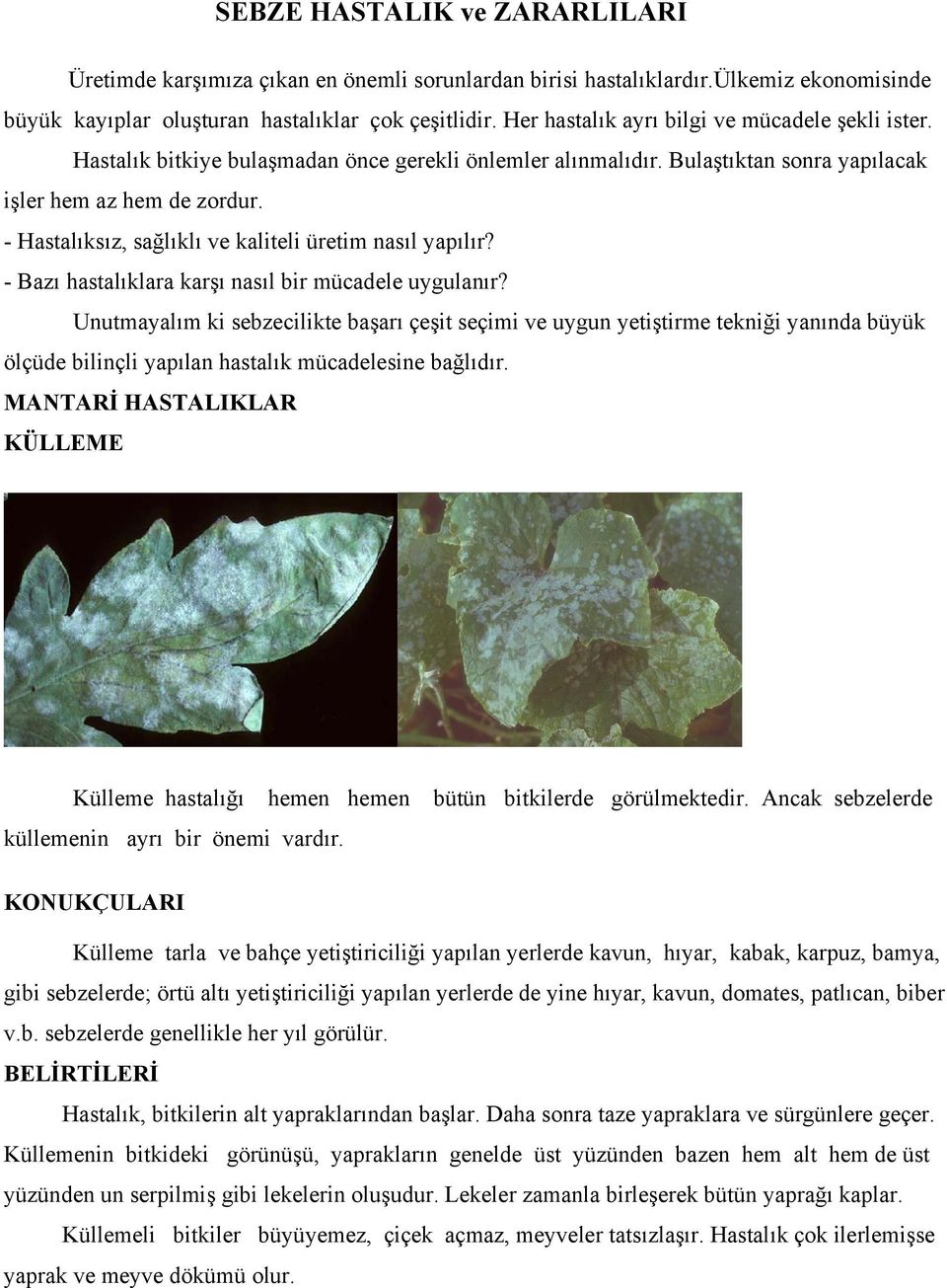 - Hastalıksız, sağlıklı ve kaliteli üretim nasıl yapılır? - Bazı hastalıklara karşı nasıl bir mücadele uygulanır?