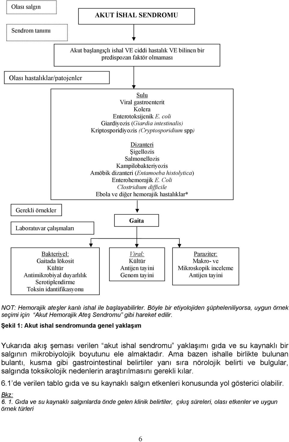 coli Giardiyozis (Giardia intestinalis) Kriptosporidiyozis (Cryptosporidium spp) Dizanteri Şigellozis Salmonellozis Kampilobakteriyozis Amöbik dizanteri (Entamoeba histolytica) Enterohemorajik E.