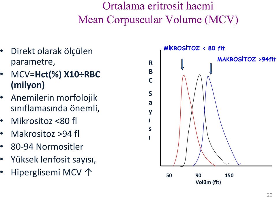 Mikrositoz <80 fl Makrositoz >94 fl 80-94 Normositler Yüksek lenfosit sayısı,