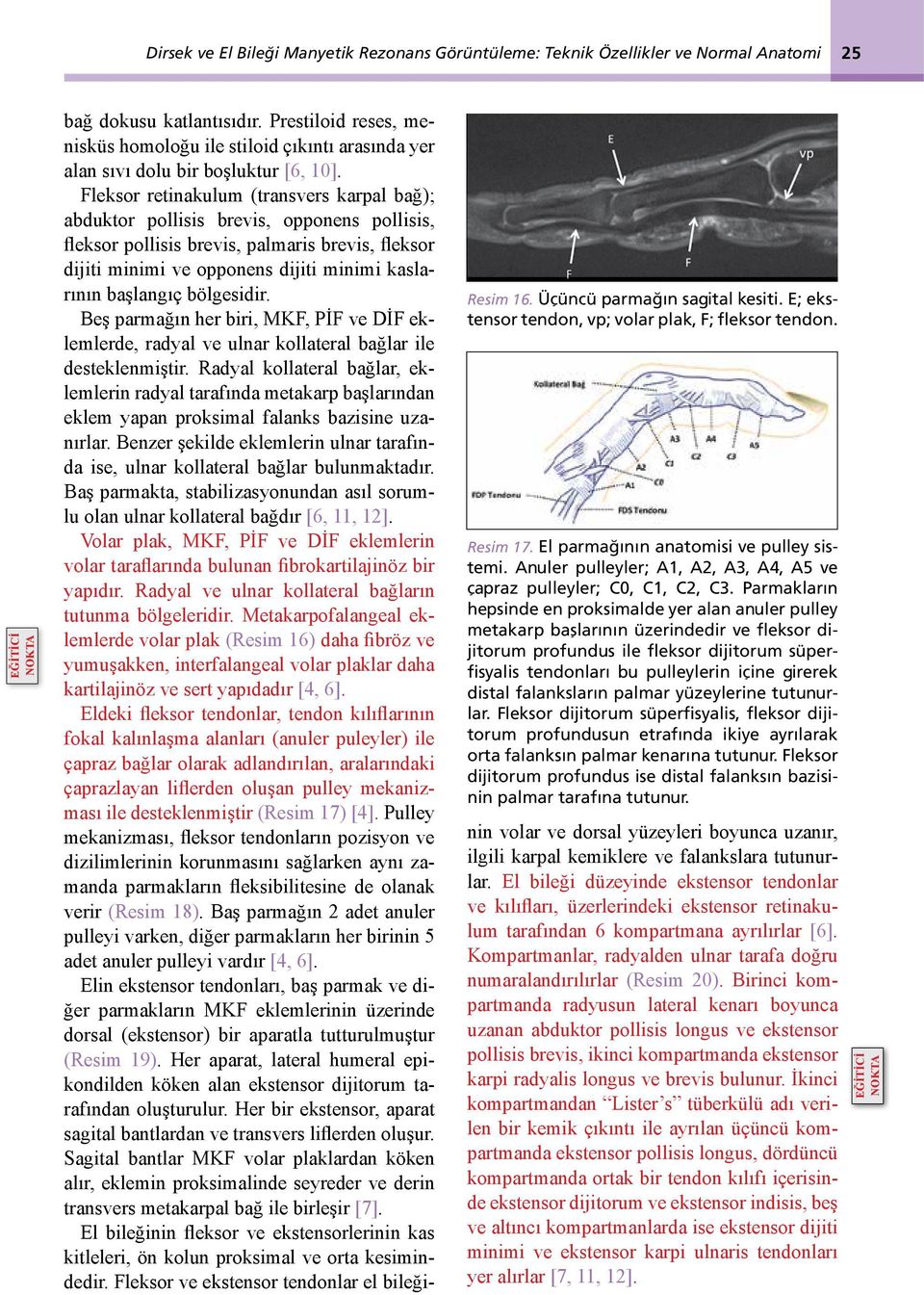 Parmakların hepsinde en proksimalde yer alan anuler pulley metakarp başlarının üzerindedir ve fleksor dijitorum profundus ile fleksor dijitorum süperfisyalis tendonları bu pulleylerin içine girerek