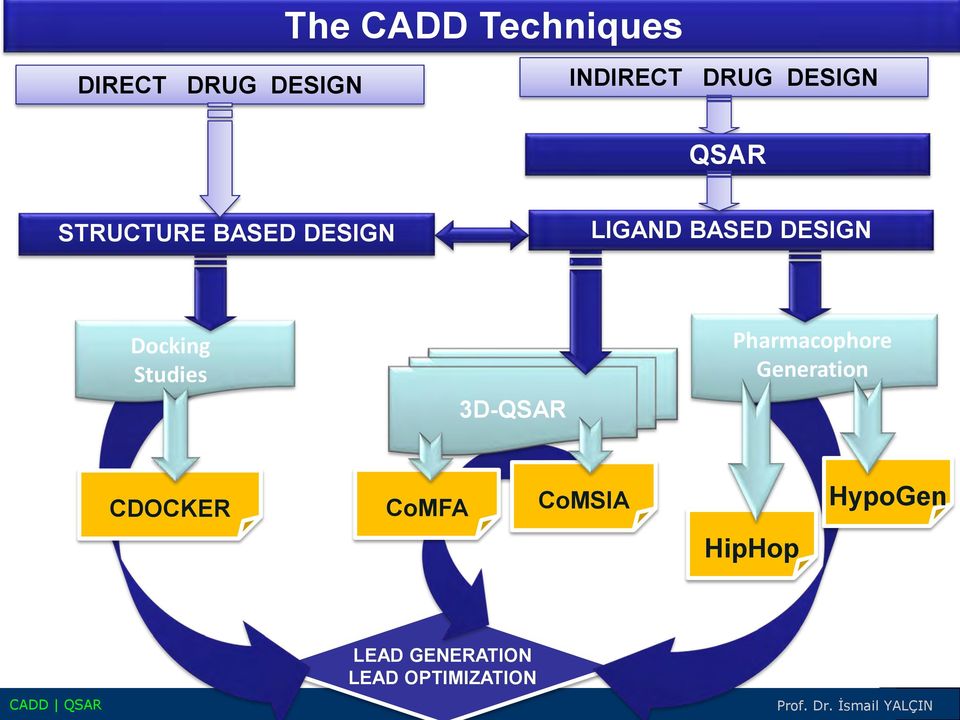 Docking Studies 3D-QSAR Pharmacophore Generation CDOCKER