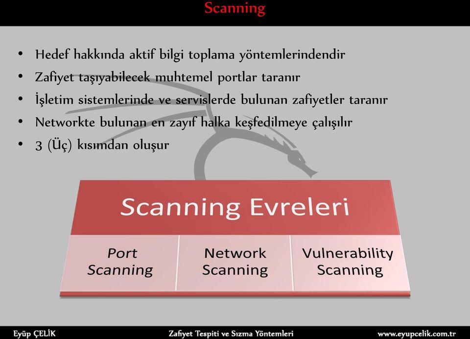 sistemlerinde ve servislerde bulunan zafiyetler taranır