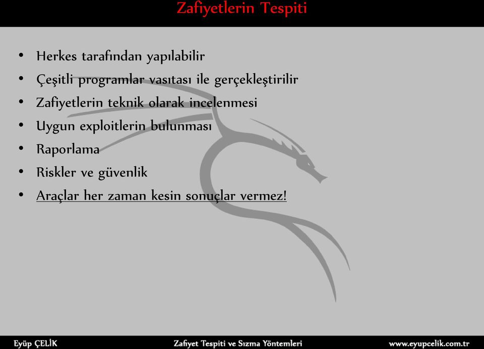 teknik olarak incelenmesi Uygun exploitlerin bulunması