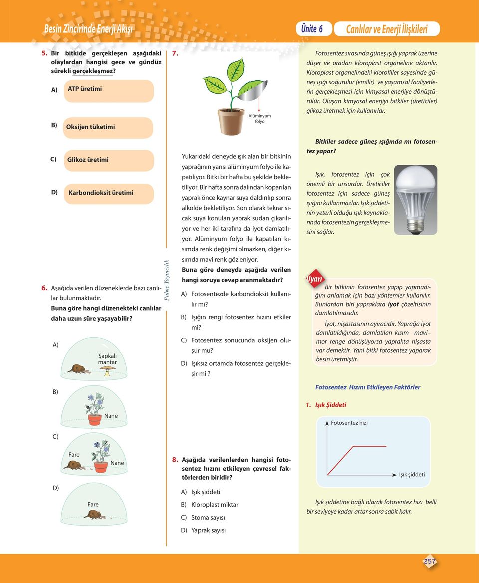 Kloroplast organelindeki klorofiller sayesinde güneş ışığı soğurulur (emilir) ve yaşamsal faaliyetlerin gerçekleşmesi için kimyasal enerjiye dönüştürülür.